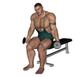 Hammer Curl - Seated Dumbbell Alternate